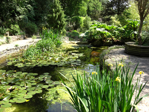 Knoll Gardens, Dorset