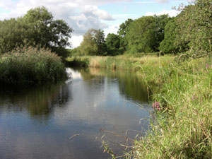 The river just south of Vicars Hill farm