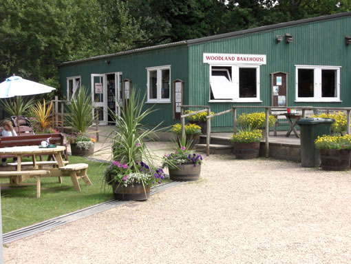 New Forest Wildlife Park - tearooms