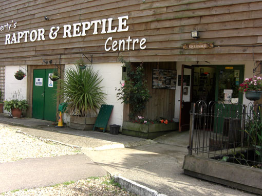 Liberty's Raptor and Reptile Centre - owl